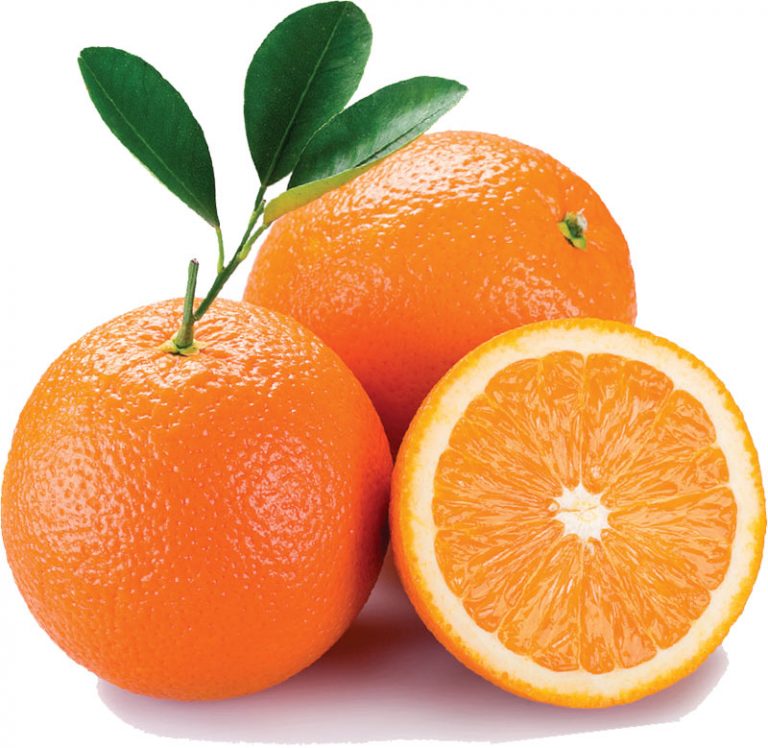 PORTOCALE DE MASA Distributie legume fructe FreshFruits Logistics